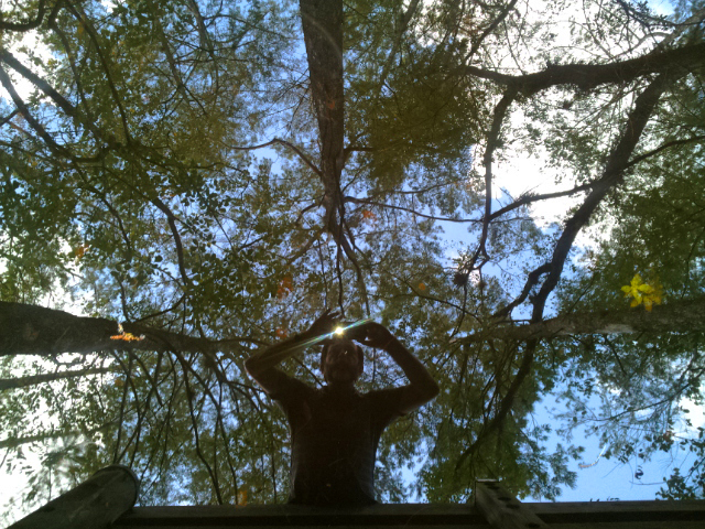 Brad Hepp self-portrait in Six Mile Cypress Slough