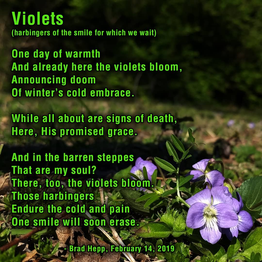 Surprised today to find wild violets on my walk at the lake. Here and there are signs of life. Hope you’re finding them too. Truly.