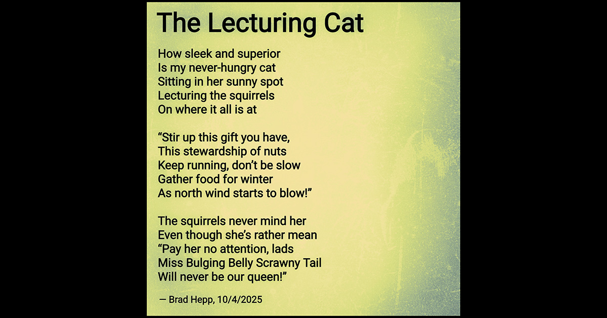 The Lecturing Cat - Brad Hepp's Miscellany